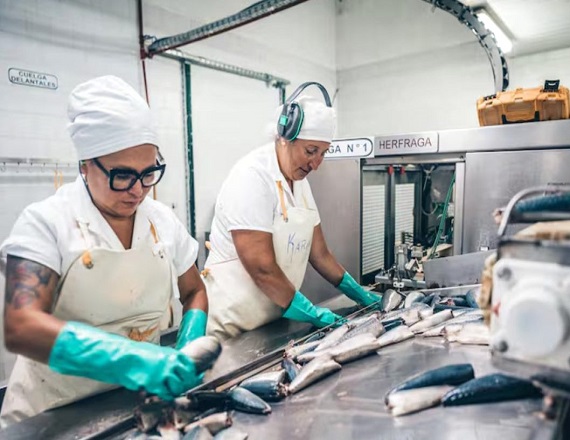 Una reconocida fábrica de pescado enlatado cerró sus puertas de forma definitiva