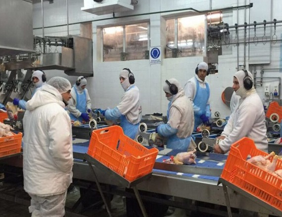 Granja Tres Arroyos despidió a 250 trabajadores de su planta industrial de Entre Ríos