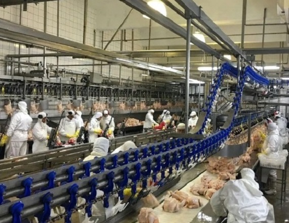 Avícola despidió a 20 trabajadores y ofrece 50% de la indemnización