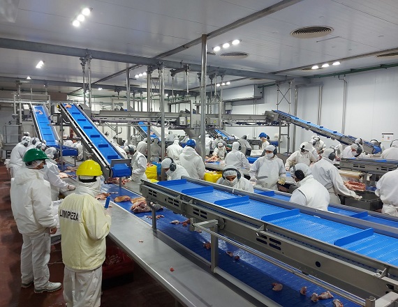 Empresa frigorífica de cerdos despidió a 80 trabajadores