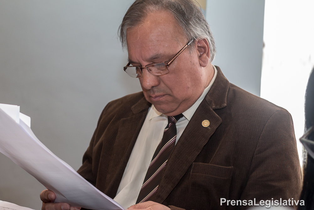 Romano Ricardo (FPV-PJ)