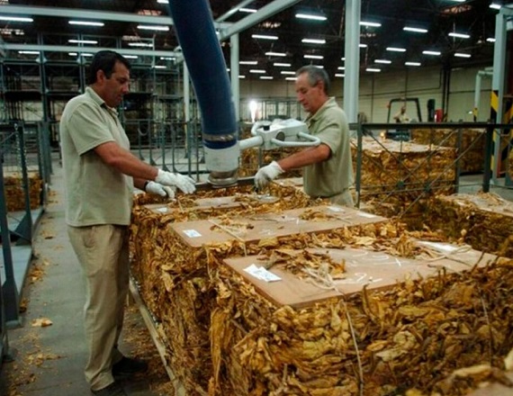 “La empresa emitió un comunicado con el anuncio. Sentimos una gran preocupación, malestar, y bronca de que en este contexto se dé la desvinculación de 115 compañeros”, dijo el Secretario General del SOT, Roberto Pérez.