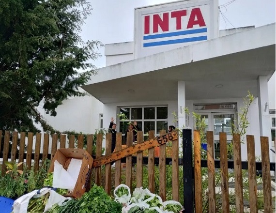 El plan no es únicamente la eliminación de Agencias y Centros Regionales sino que incluye la apertura de un programa de retiros voluntarios que desafecte a casi 2.000 empleados (un tercio) del organismo científico.