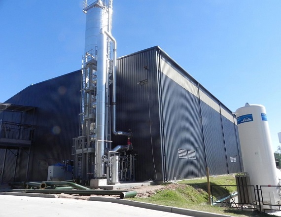 La empresa se escudó en la caída de la demanda y en la ausencia de políticas que promuevan el uso de material reciclado, un argumento que deja en evidencia la falta de rumbo industrial y ambiental del actual Gobierno nacional.