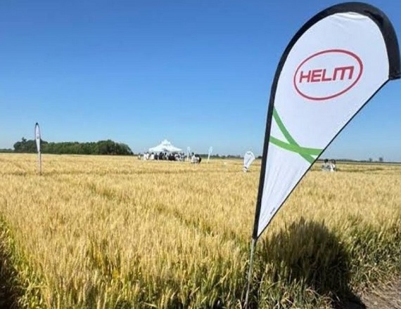 Con el cierre de Helm, el sector agroquímico suma ahora un nuevo episodio a la lista de empresas que achican o finalizan su presencia en el país y se produce en medio de un contexto atravesado por la apertura importadora.
