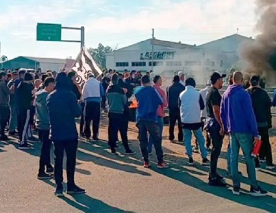 En las últimas audiencias, Granja Tres Arroyos ofreció pagar parte de los salarios adeudados con pollos, una propuesta que expone la gravedad de la falta de liquidez de la compañía.