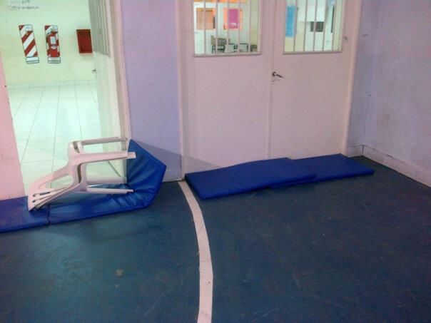 Colchonetas para evitar en ingreso de roedores